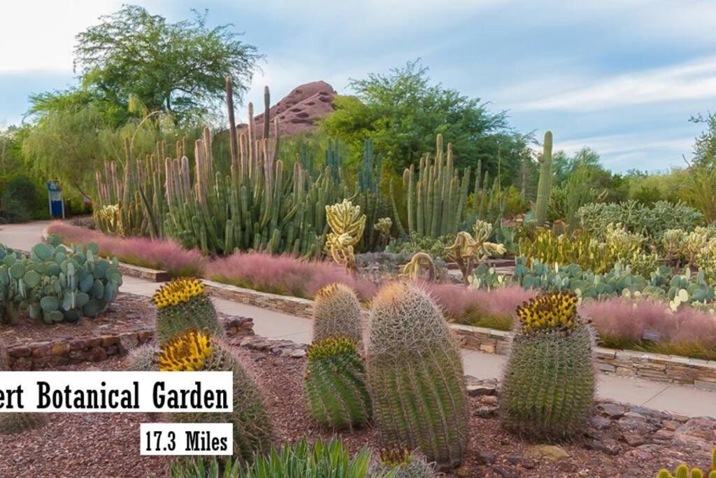 Apartment Modern 2-br Near Kierland Commons